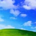bliss.gif (76372 bytes)