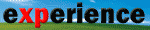 experience.gif (3583 bytes)