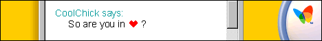 msnmessenger.gif (10984 bytes)